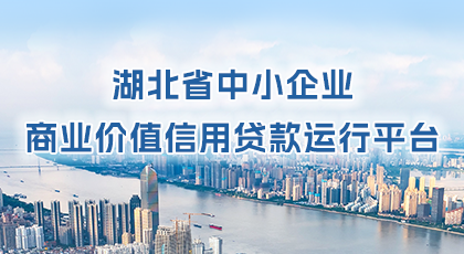 湖北省中小企业商业价值信用贷款运行平台